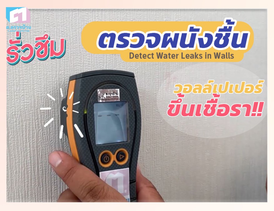 ตรวจผนังรั่วซึม ความชื้นสะสมจนวอลล์เปเปอร์ขึ้นเชื้อรา
