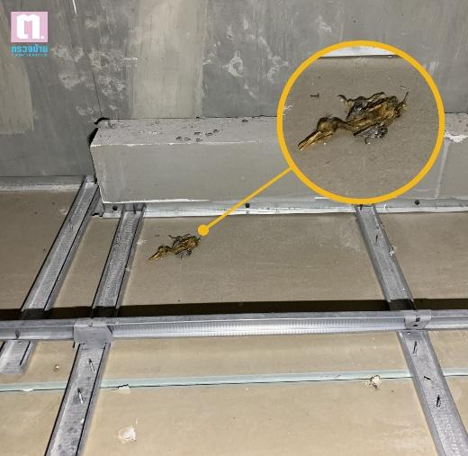 A yellow circle with a yellow circle on the side of a concrete floor

AI-generated content may be incorrect.